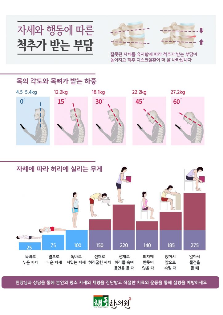 척추 건강에 좋은 자세와 운동 12