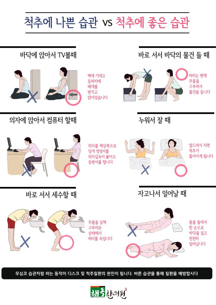 척추 건강에 좋은 자세와 운동 10