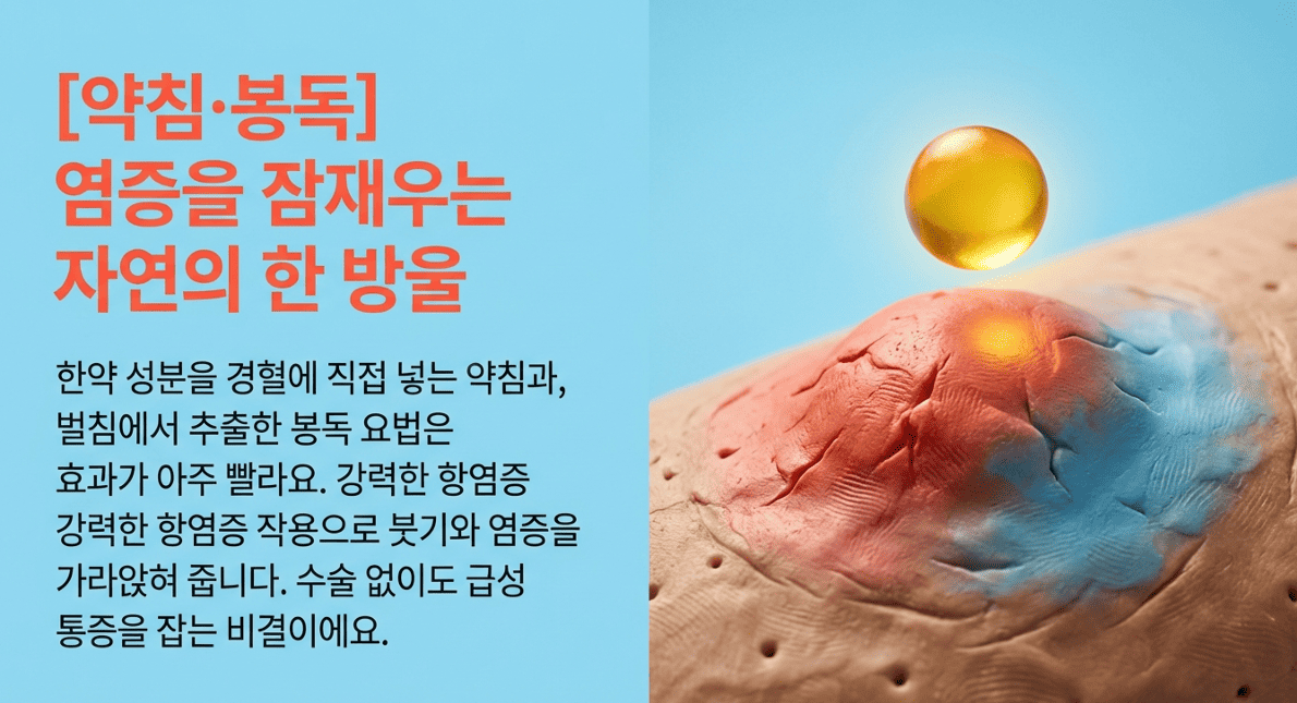 약침 봉독 이미지 